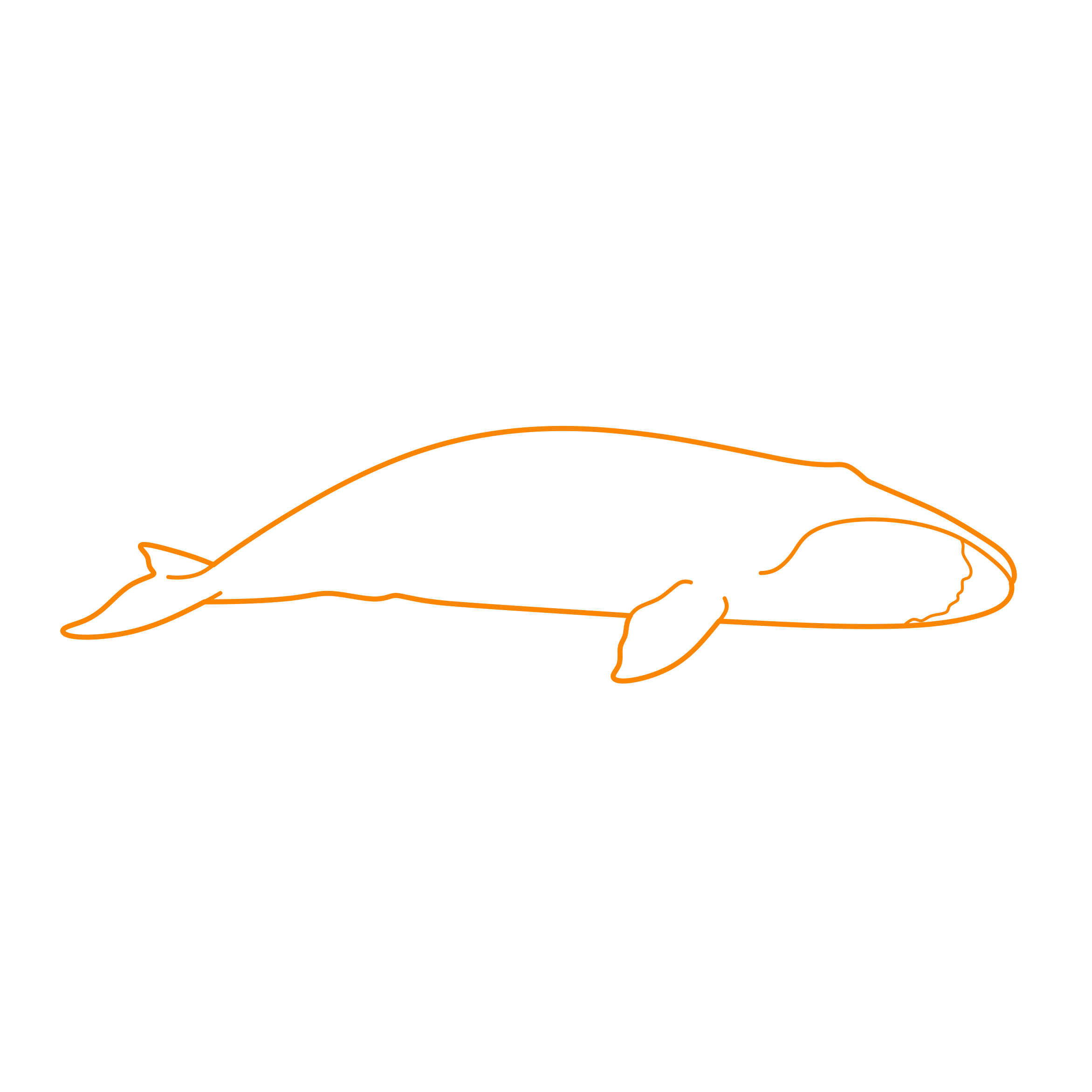 Animals Baleen Whales Bowhead Whale Outline Svg Vector Free Vectors